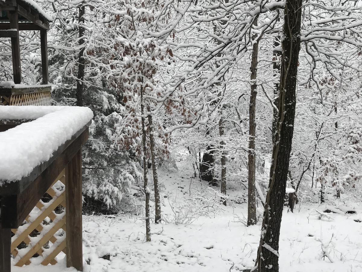 Gamaliel Norfork Lake Ozark Mountain Lodge מראה חיצוני תמונה